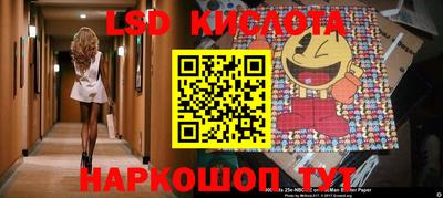 прущие грибы Нальчик
