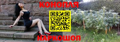 амф Новодвинск