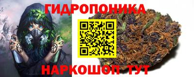 прущие грибы Нальчик