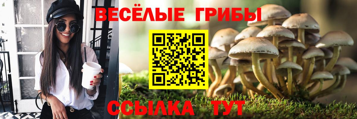 Ачхой-Мартан  Псилоцибиновые грибы ЛСД  где продают наркотики  Вход с VPN 